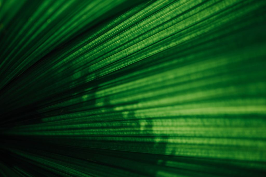 chuttersnap-6nkjaBXY7tk-unsplash