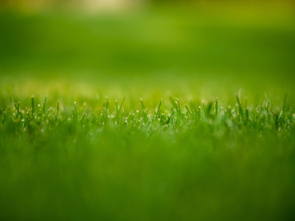 marek-levak-1oVxn5h_ILk-unsplash